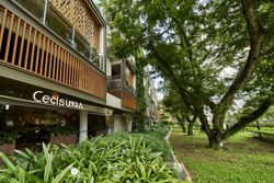 Parksuites (D10), Apartment #536086011